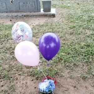 Meet your Posher, Arnoldo